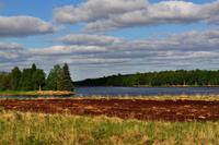 Finnische Einsamkeit