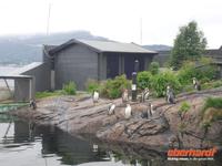 Atlantikpark in Alesund