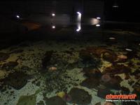 Atlantikpark in Alesund