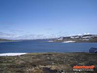 Hardangervidda