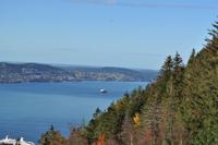 Hurtigruten - Finnmarken-12