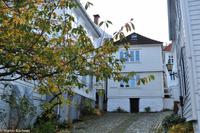 Hurtigruten - Finnmarken-20