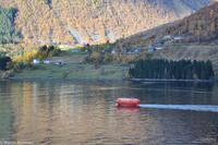 Hurtigruten - Finnmarken-35