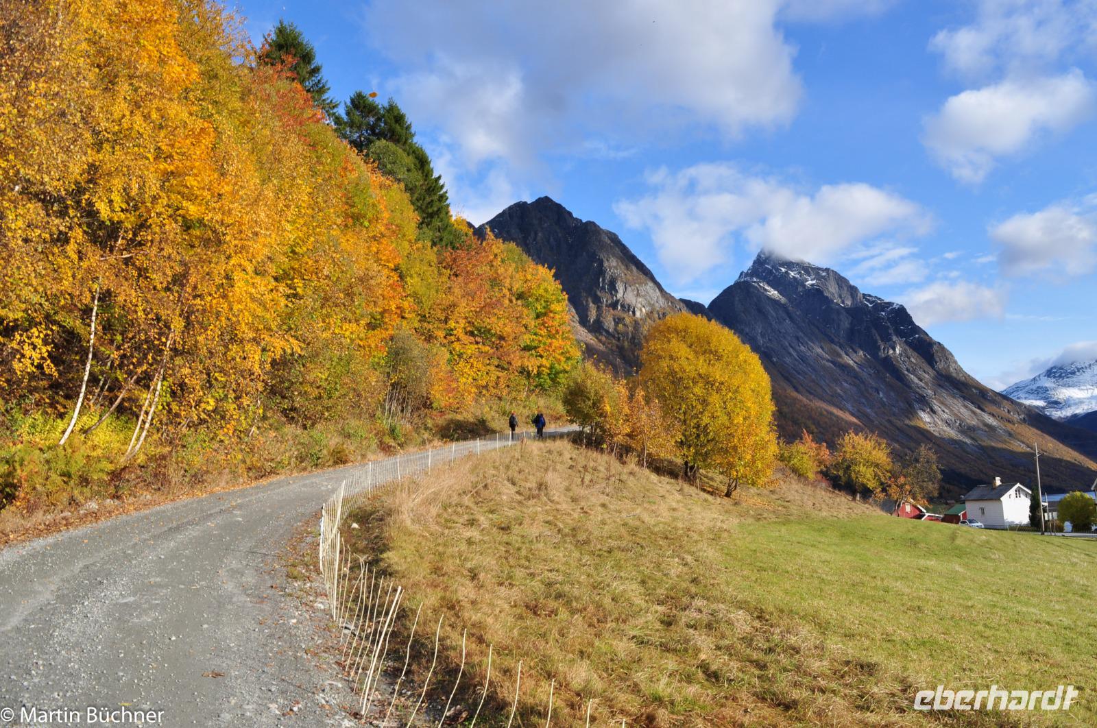 Hurtigruten - Finnmarken-39