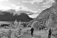 Hurtigruten - Finnmarken-49