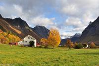 Hurtigruten - Finnmarken-54