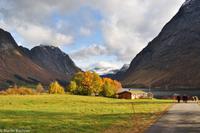 Hurtigruten - Finnmarken-55