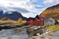 Hurtigruten - Finnmarken-60