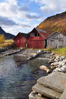 Hurtigruten - Finnmarken-61