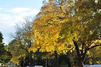 Hurtigruten - Finnmarken-84