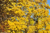Hurtigruten - Finnmarken-94