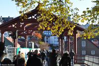 Hurtigruten - Finnmarken-96