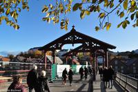 Hurtigruten - Finnmarken-97