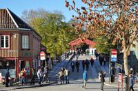 Hurtigruten - Finnmarken-101