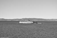 Hurtigruten - Finnmarken-106