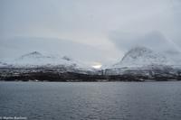 Hurtigruten - Finnmarken-148