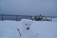 Hurtigruten - Finnmarken-169