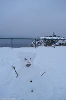 Hurtigruten - Finnmarken-170