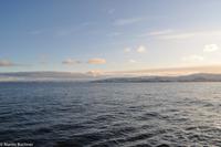 Hurtigruten - Finnmarken-185