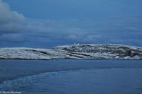 Hurtigruten - Finnmarken-192