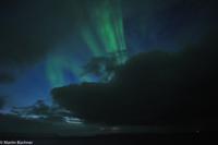 Hurtigruten - Finnmarken-194