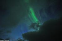 Hurtigruten - Finnmarken-196