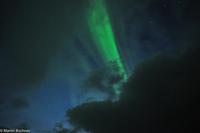 Hurtigruten - Finnmarken-197