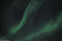 Hurtigruten - Finnmarken-206