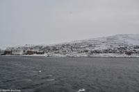 Hurtigruten - Finnmarken-218