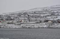 Hurtigruten - Finnmarken-219