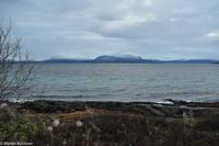 Hurtigruten - Finnmarken-231