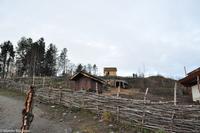 Hurtigruten - Finnmarken-232