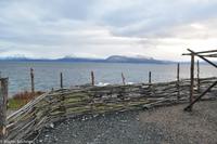 Hurtigruten - Finnmarken-233