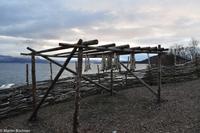 Hurtigruten - Finnmarken-234