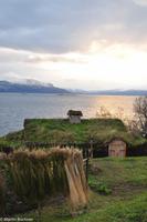 Hurtigruten - Finnmarken-244