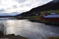 Hurtigruten - Finnmarken-246