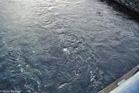 Hurtigruten - Finnmarken-249