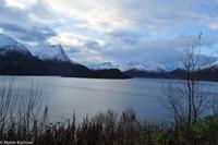 Hurtigruten - Finnmarken-257