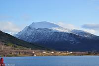 Hurtigruten - Finnmarken-275