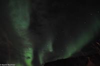 Hurtigruten - Finnmarken-296