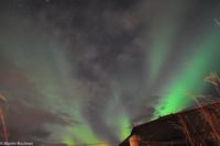 Hurtigruten - Finnmarken-299