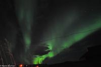Hurtigruten - Finnmarken-301