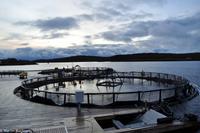 Hurtigruten - Finnmarken-319