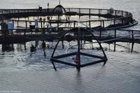 Hurtigruten - Finnmarken-321