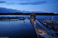 Hurtigruten - Finnmarken-323