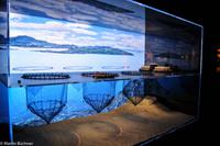 Hurtigruten - Finnmarken-326