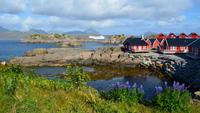 189 Lofoten, Mortsund
