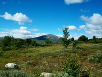 Dovrefjell
