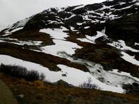 Sognefjell