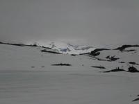 Sognefjell